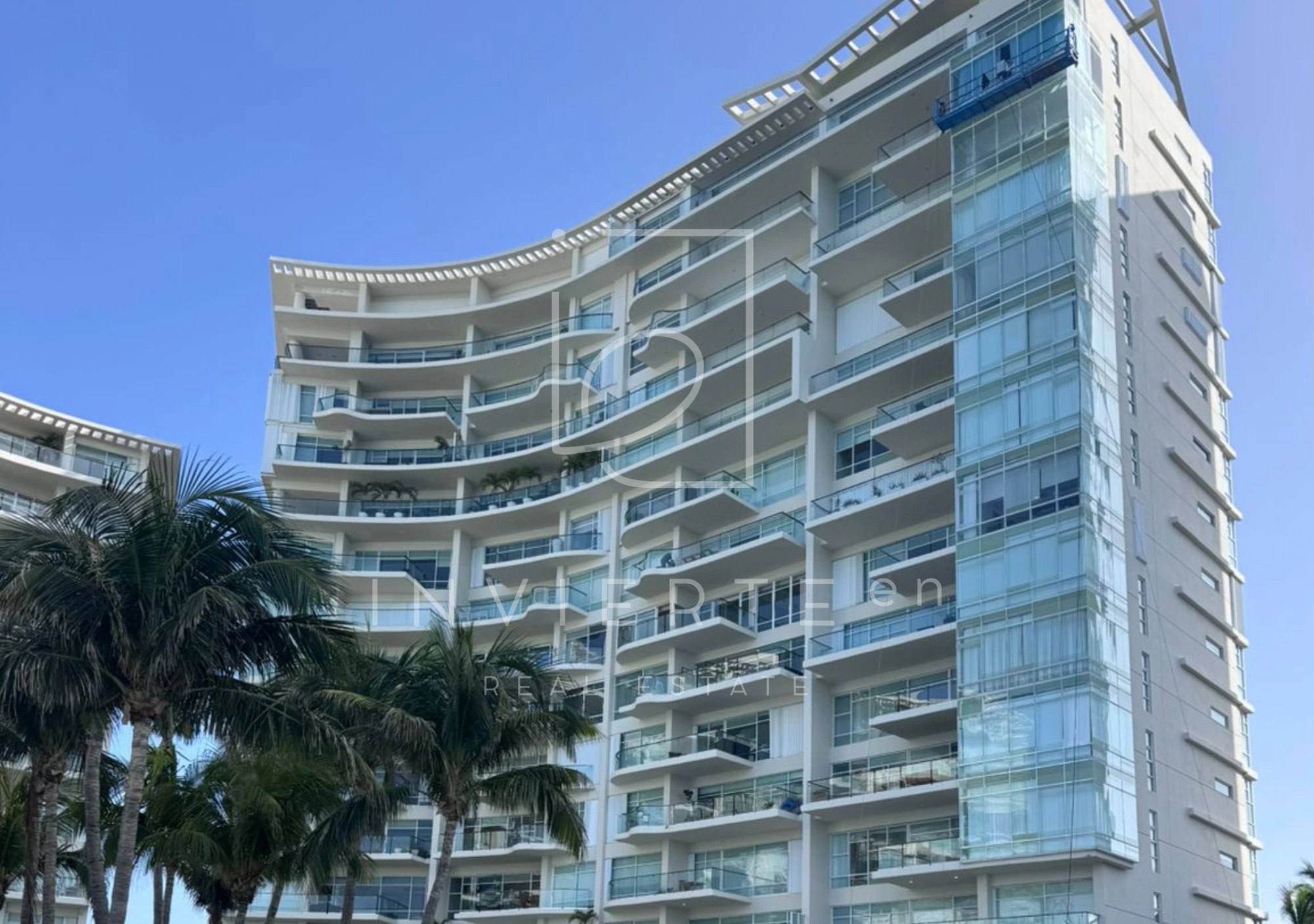 Ph Palmeras Ph Palmeras